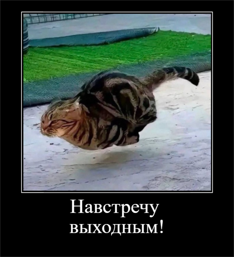 Пятничное настроение (30 фото)