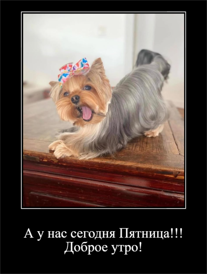 Настроение - Пятница (30 фото)