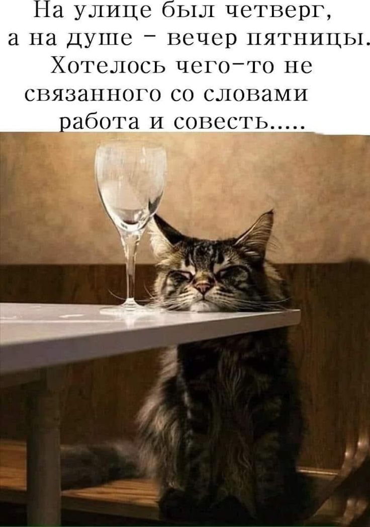Просто для улыбки (30 фото)