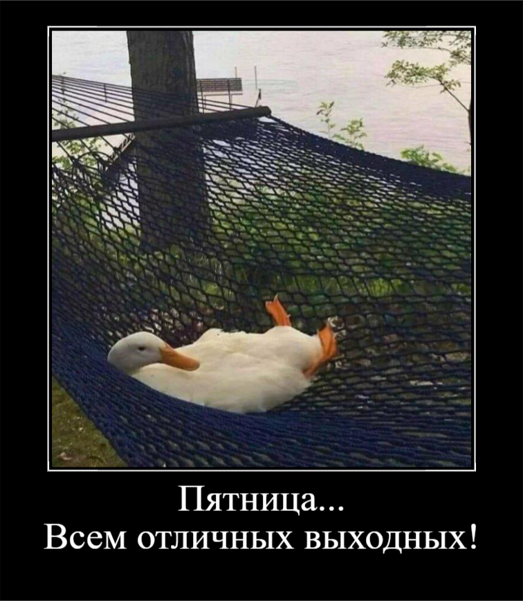 Пятница- это маленькая суббота (30 фото)