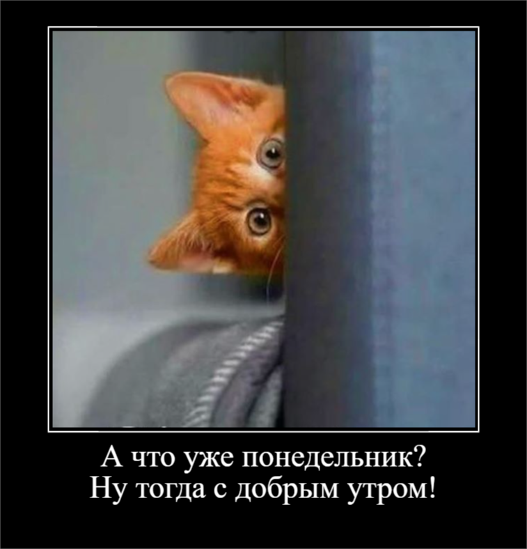 Для отличного настроения (30 фото)