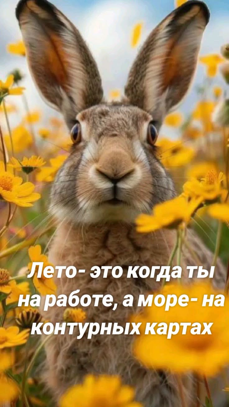 Животные научат вас улыбаться (30 фото)