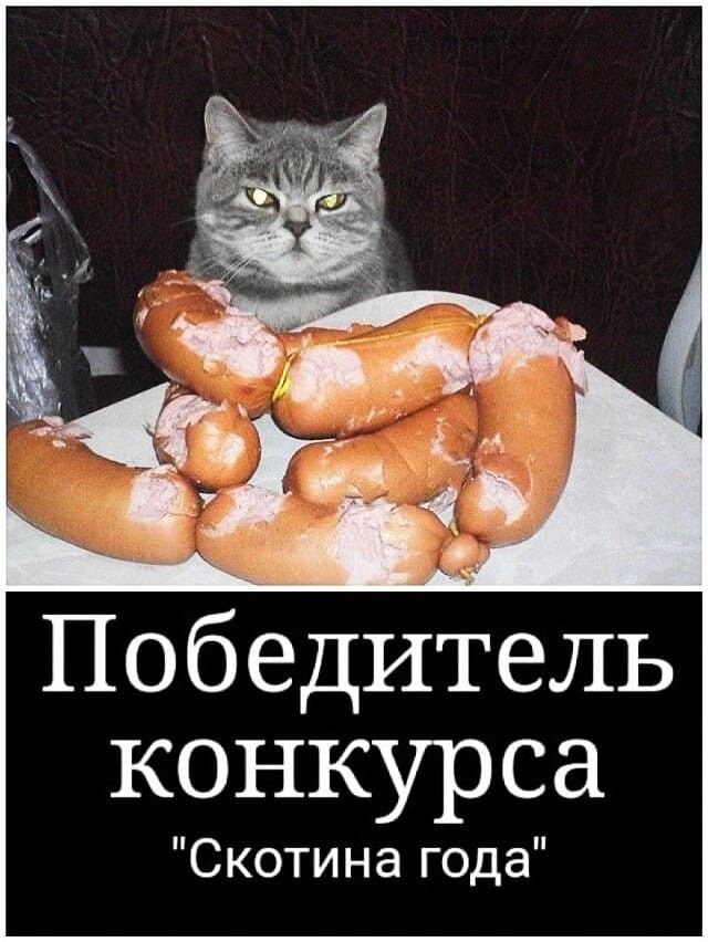 Просто для улыбки (30 фото)