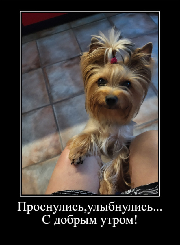Для улыбательного настроения (30 фото)