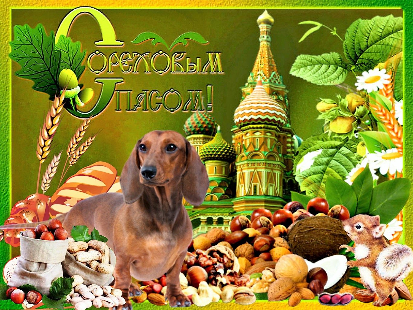 Для поднятия пятничного настроения! (30 фото)