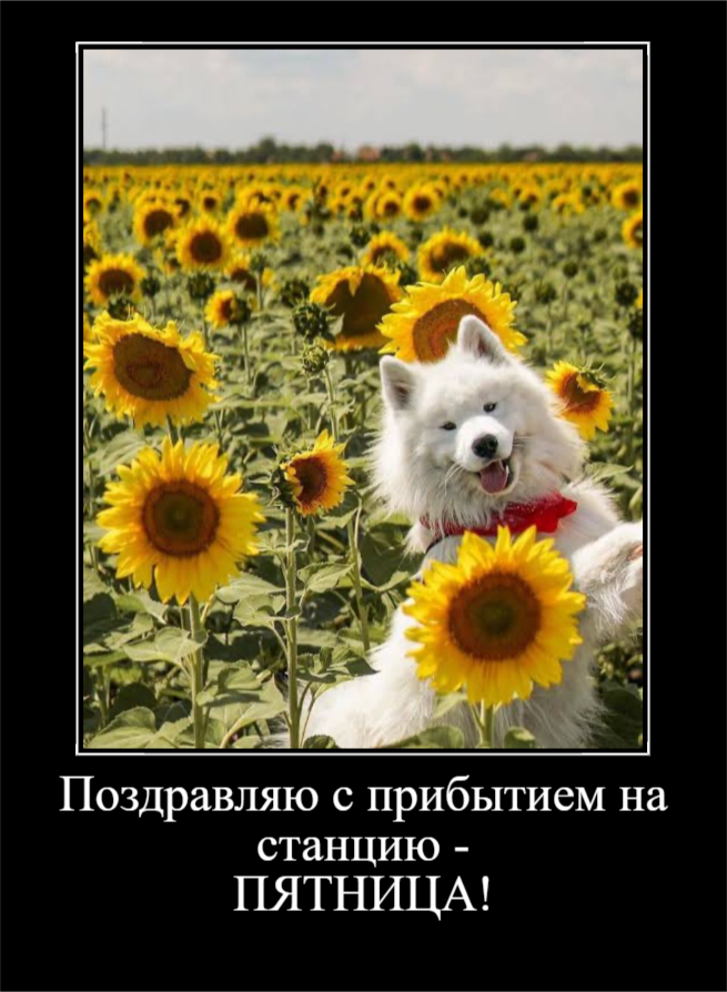 Пятничное настроение (30 фото)