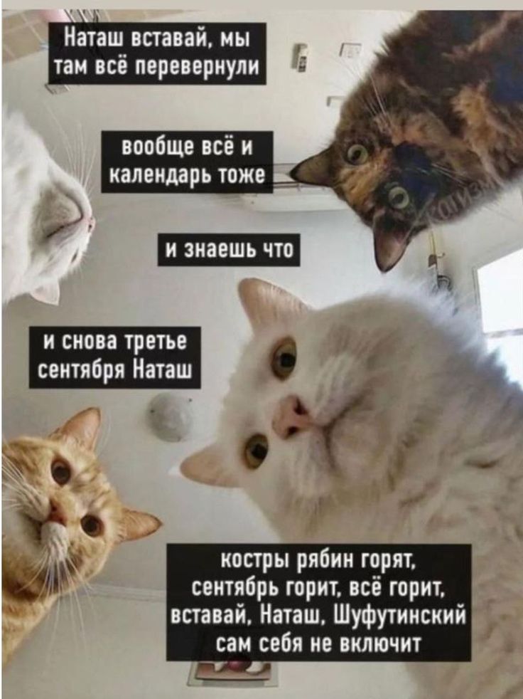 Для отличного настроения (30 фото)