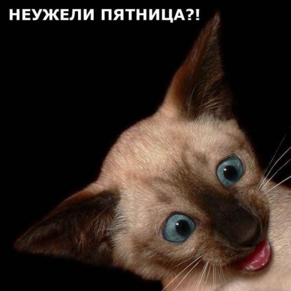 Пятничное настроение (30 фото)