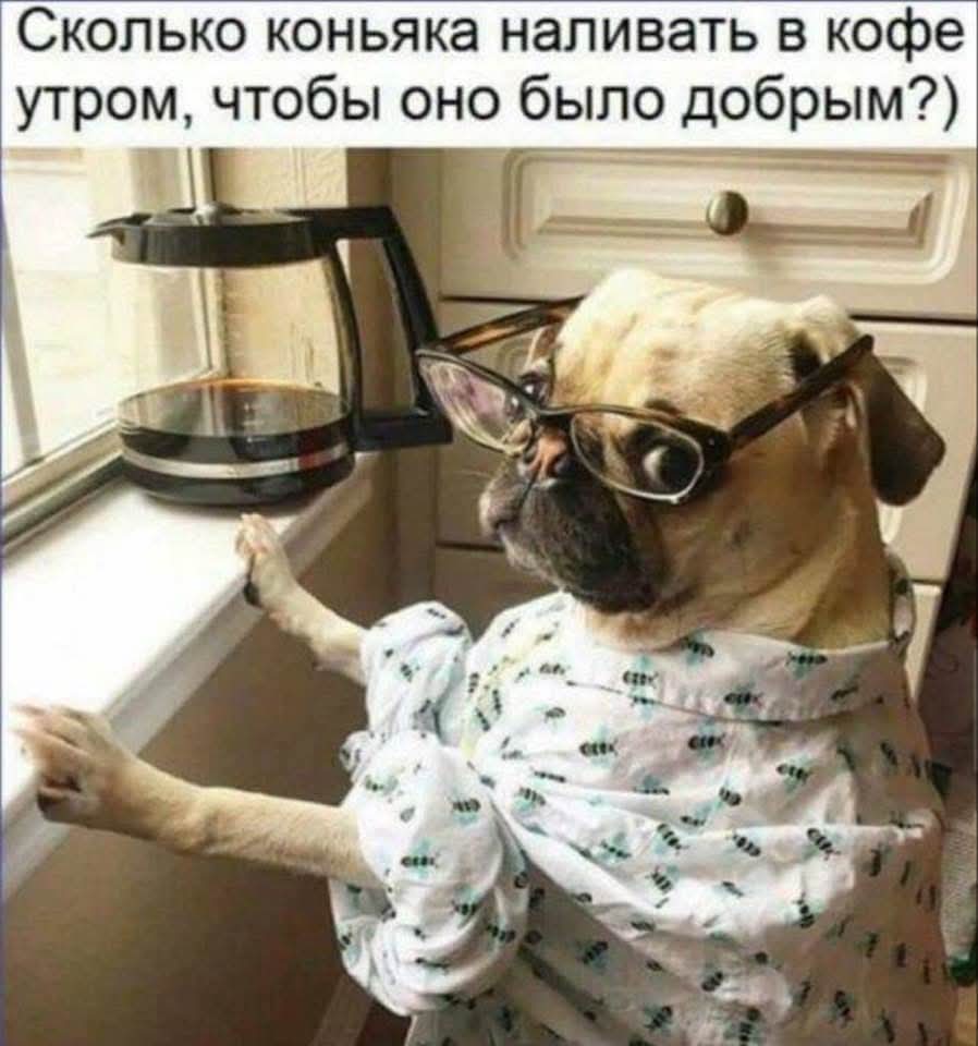 Утренний позитив от животных (30 фото)