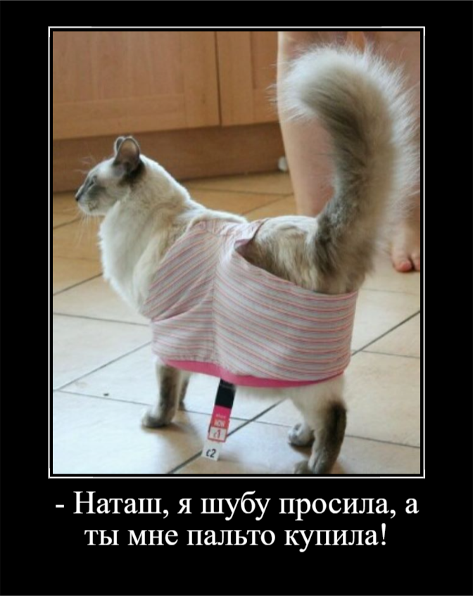 Просто для улыбки! (30 фото)