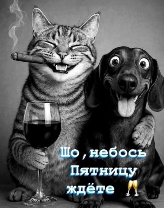 Пятничные картинки для весёлого настроения (30 фото)