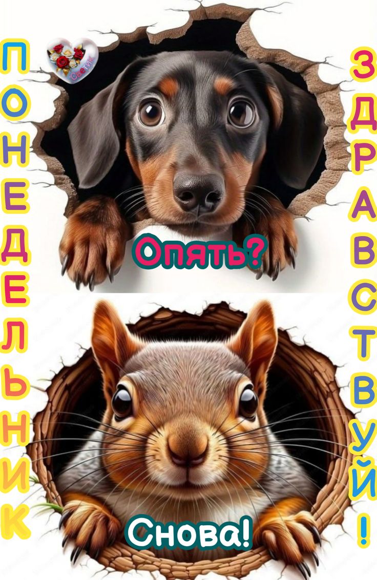 Для отличного настроения (30 фото)