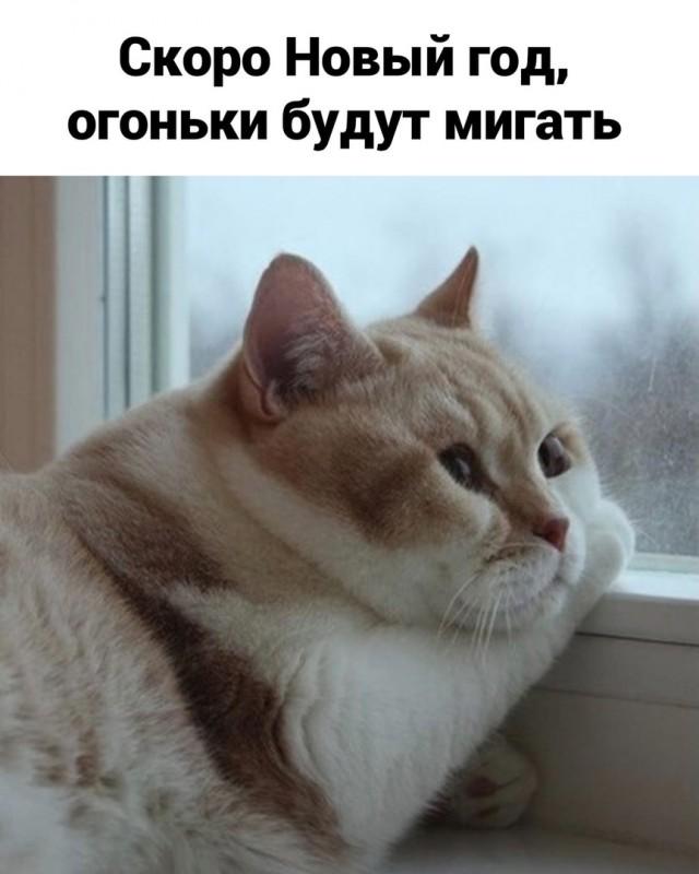 Хорошее настроение в забавных картинках (30 фото)