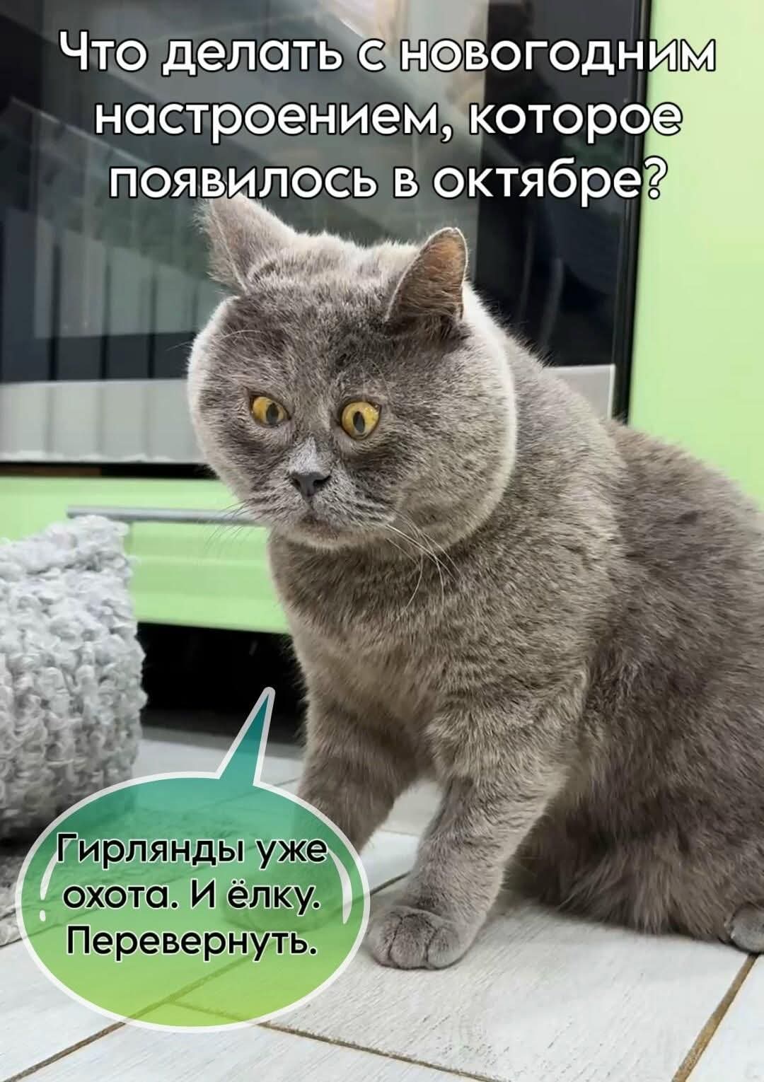 Просто для улыбки! (30 фото)