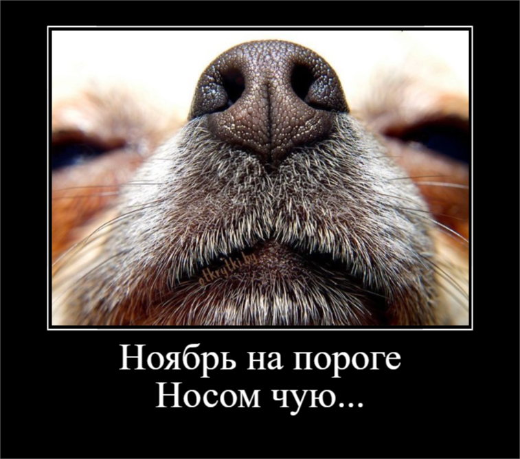 Пятничное настроение (30 фото)