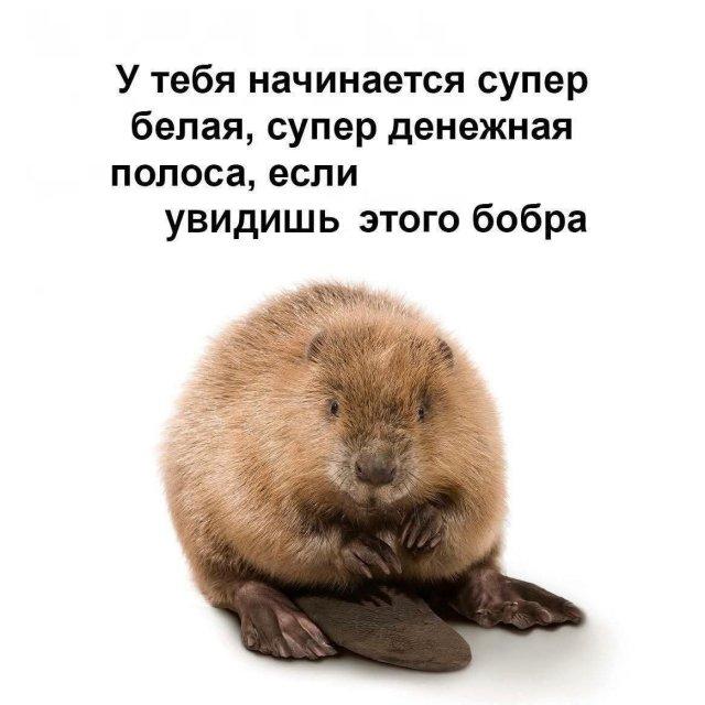 Настроение - Пятница (30 фото)