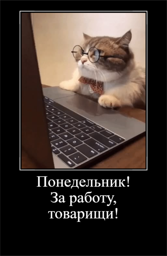 Для отличного настроения! (30 фото)