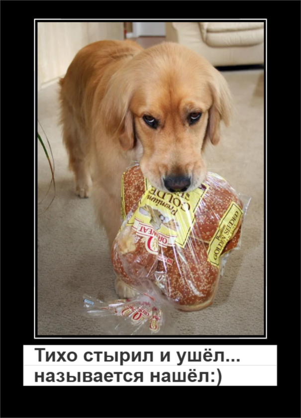 Когда еда важнее правил (20 фото)