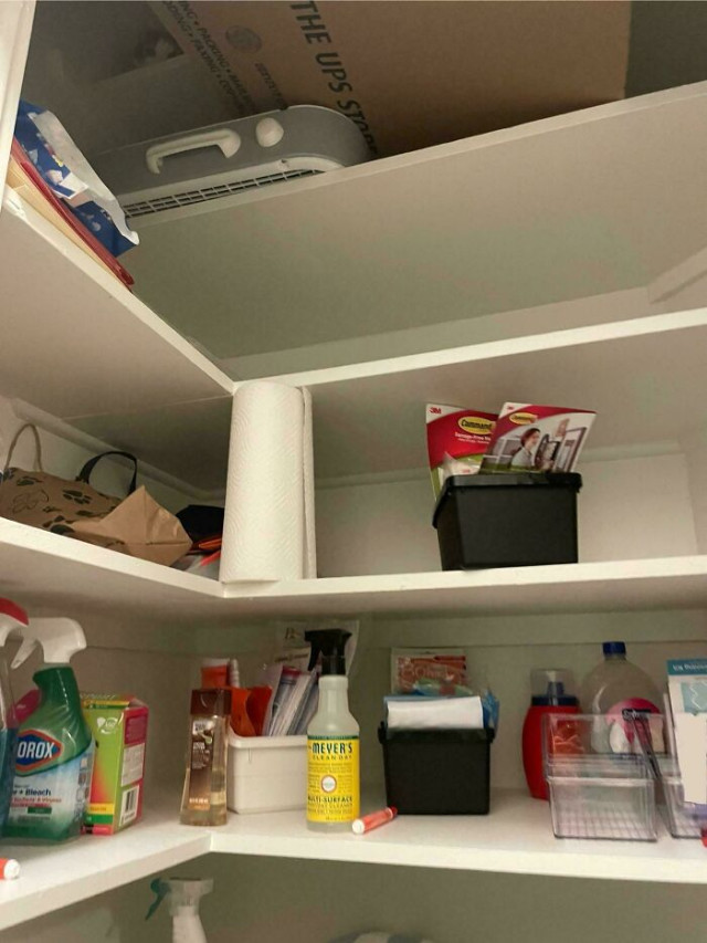 Кошки — настоящие мастера маскировки (30 фото)