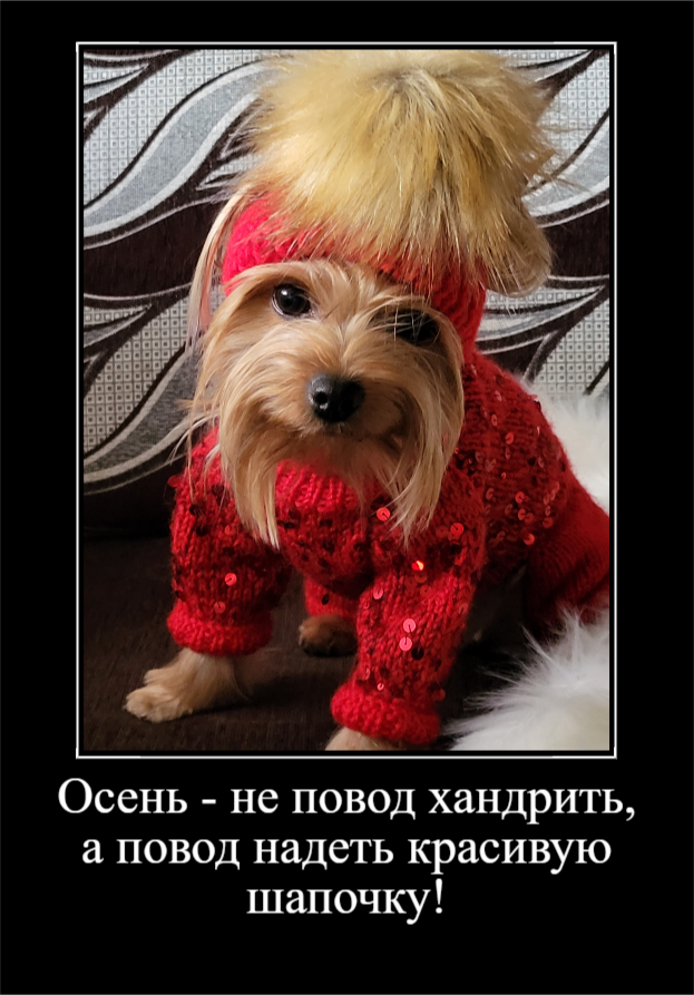 Забавные картинки, чтобы улыбнуться (30 фото)