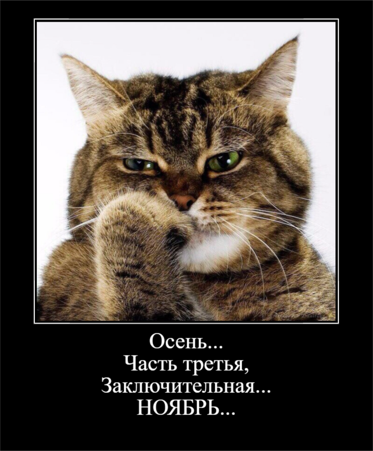 Настроение: Осень... Пятница... (30 фото)