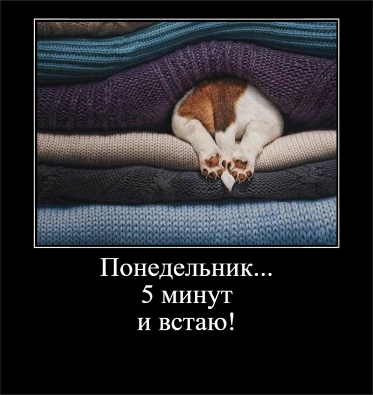 Для отличного настроения (30 фото)