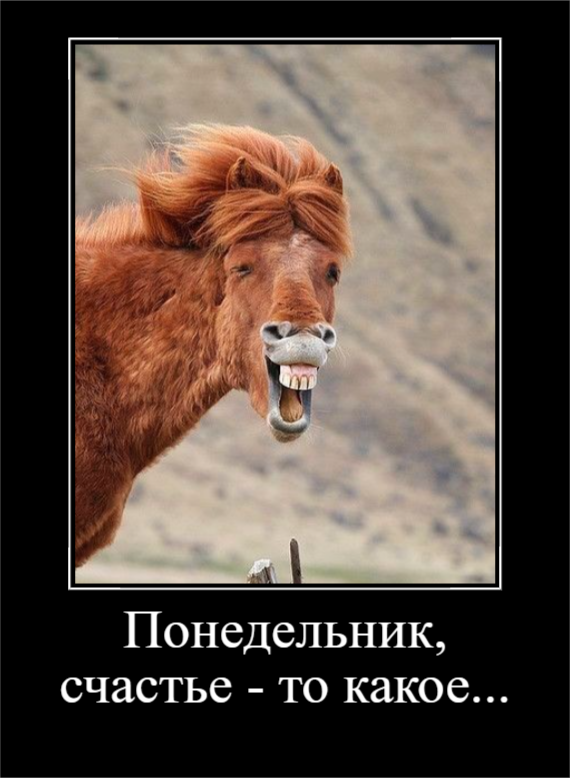 Настроение - Понедельник (30 фото)