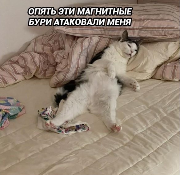 Просто для улыбки! (30 фото)