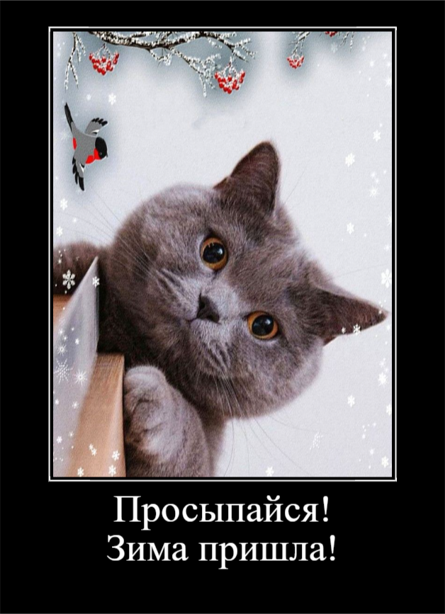 С первым днём зимы (30 фото)