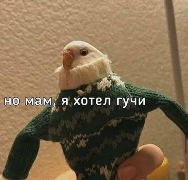 Забавные мемы про животных (30 фото)