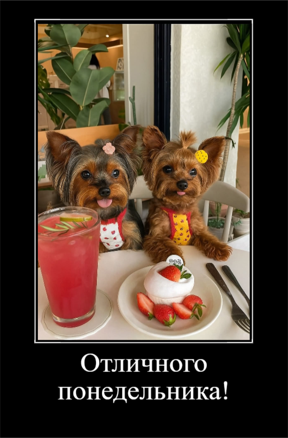 Отличного понедельника (30 фото)