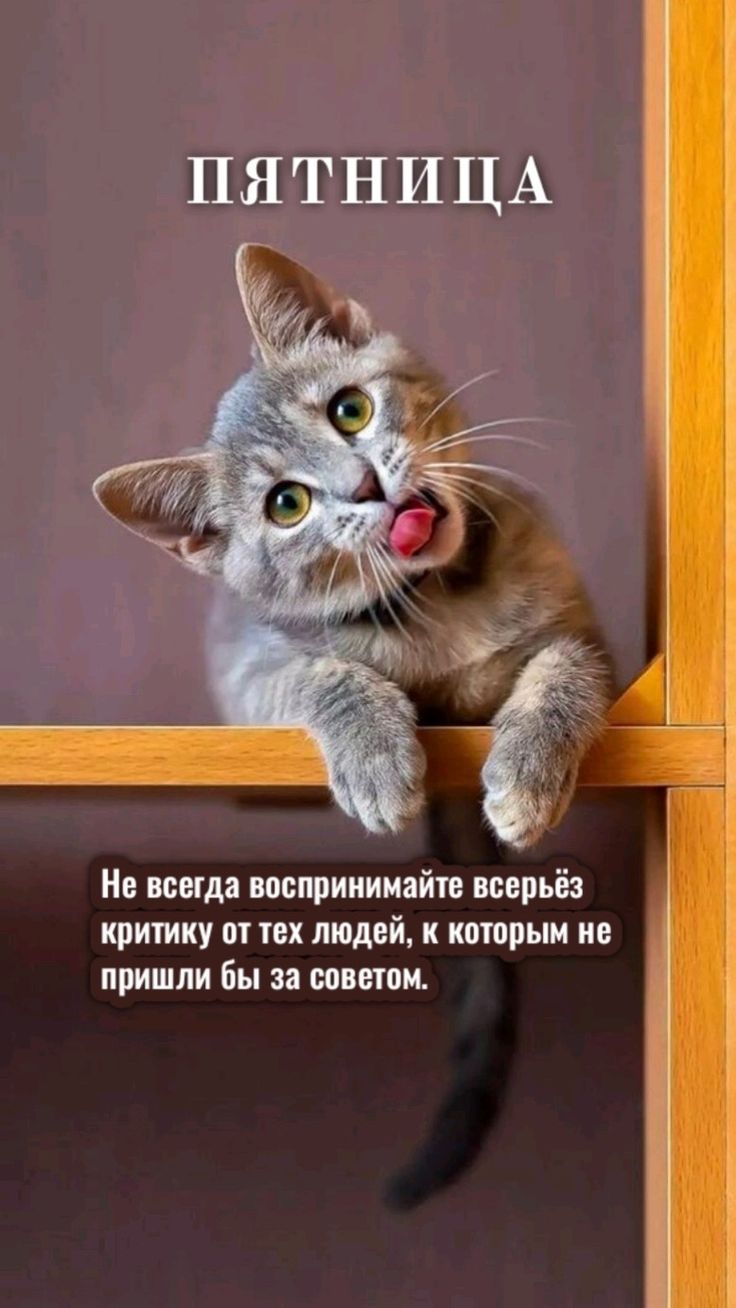 Пятничный позитив (30 фото)