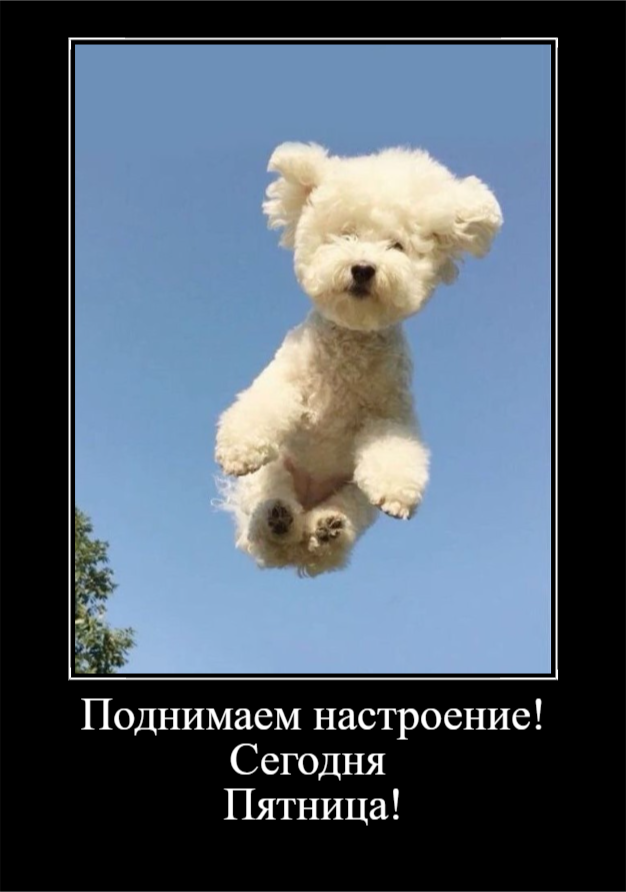 Пятничное настроение (30 фото)