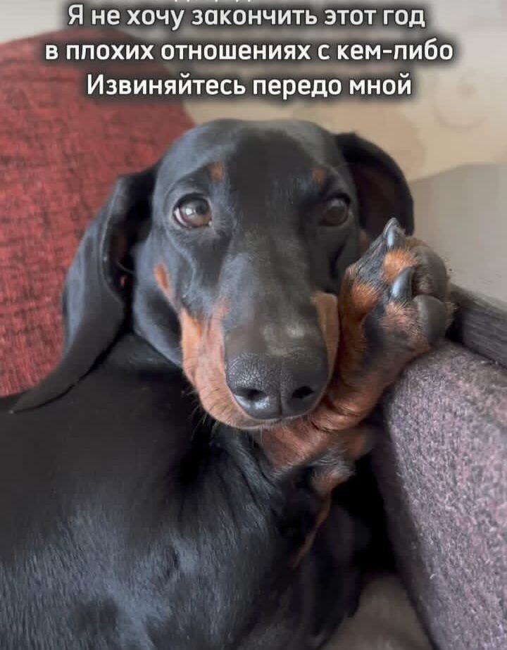 Пятничный позитив (30 фото)