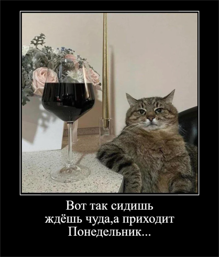 Для отличного настроения (30 фото)