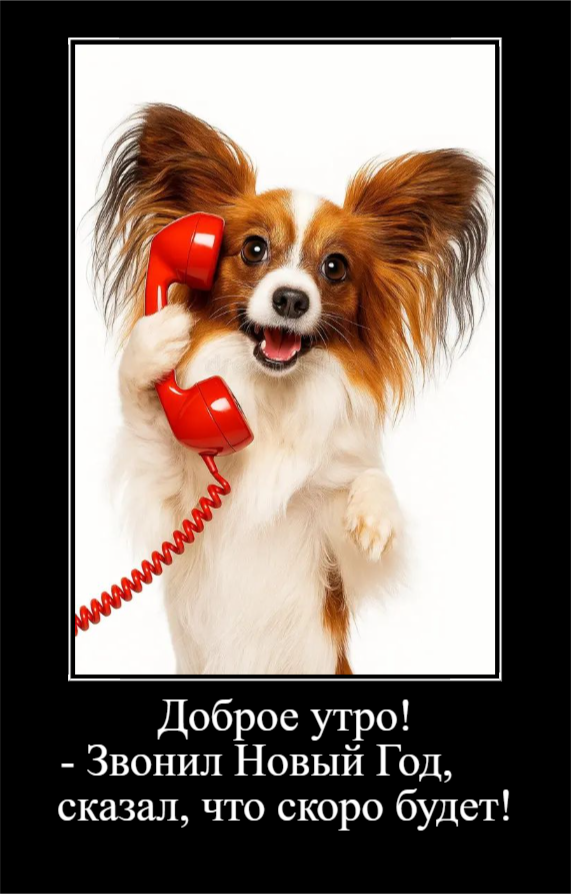 Пятничное настроение! (30 фото)