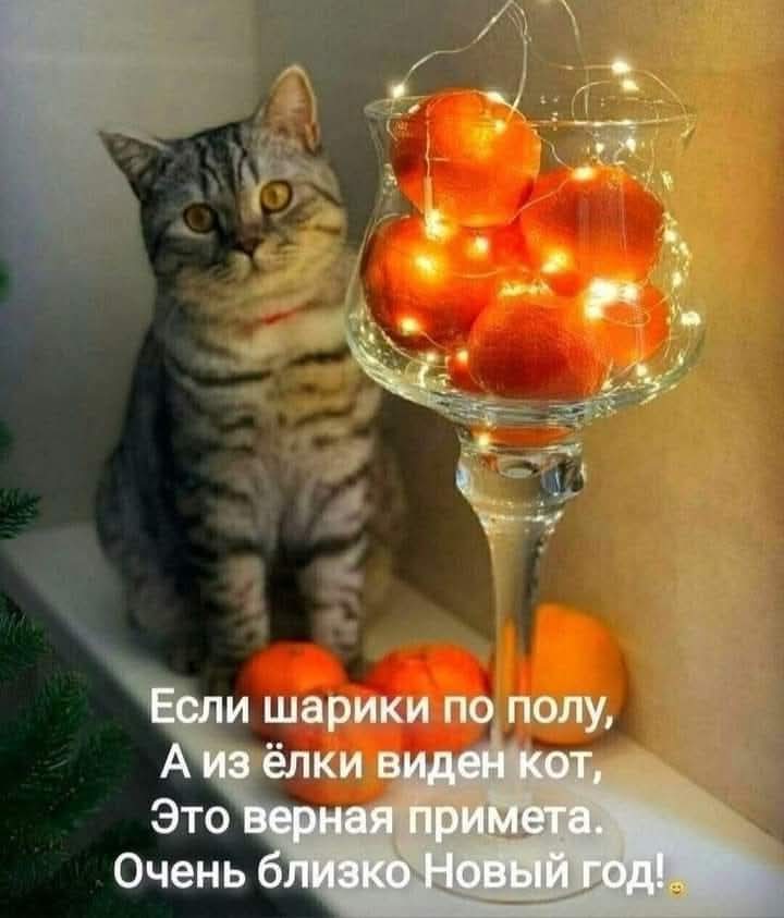 Для отличного настроения (30 фото)