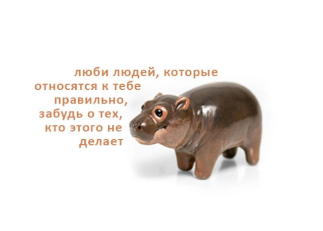 Добрые мотивации от фарфоровых зверюшек (15 фото)