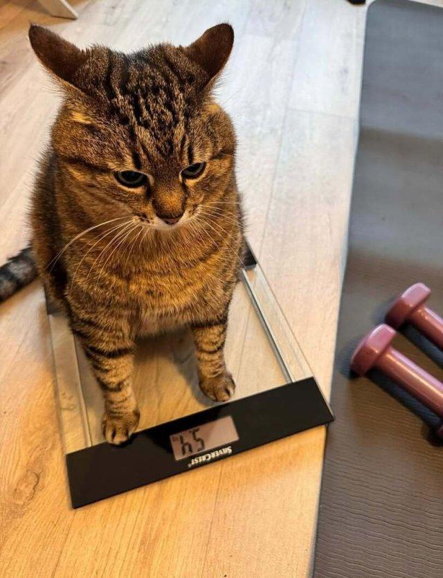 У кого такая же трагедия? (3 фото)