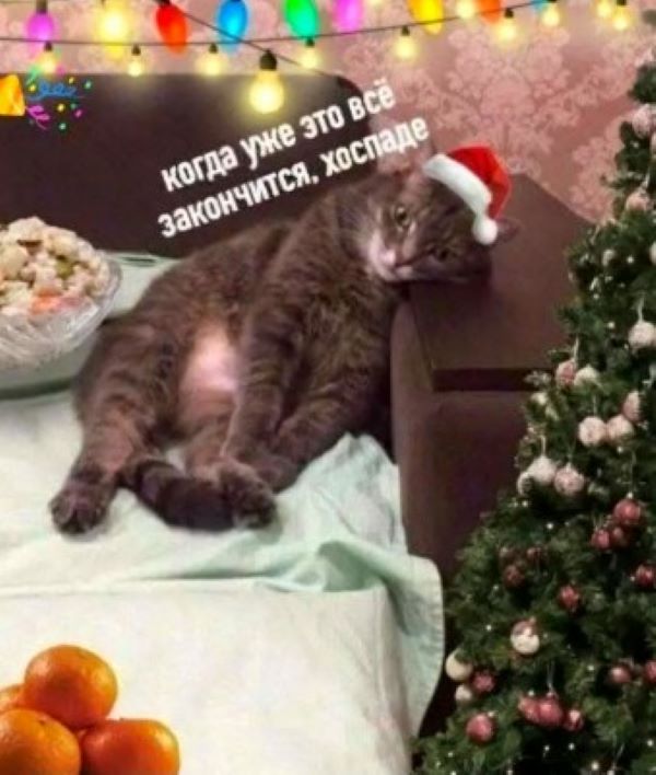 Пятничные прикольные картинки (30 фото)