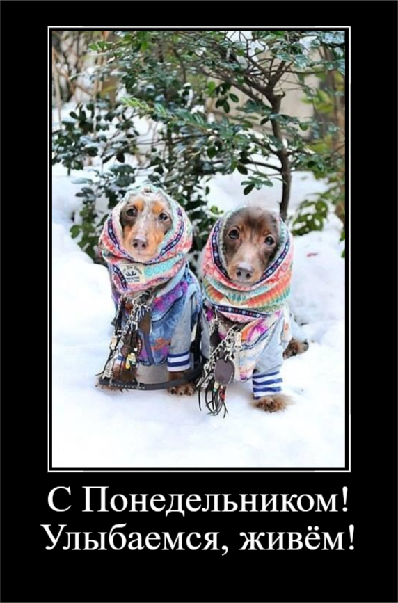 Весёлые картики в понедельник (30 фото)