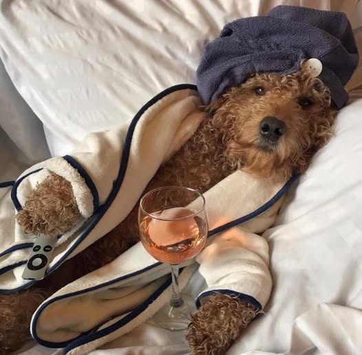 Настроение - Пятница! (30 фото)