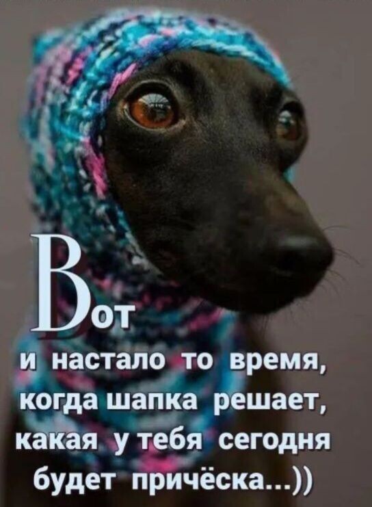 Пятничное настроение (30 фото)