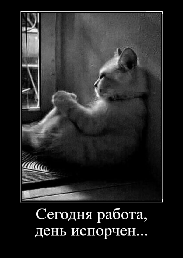 Для хорошего настроения в понедельник (30 фото)