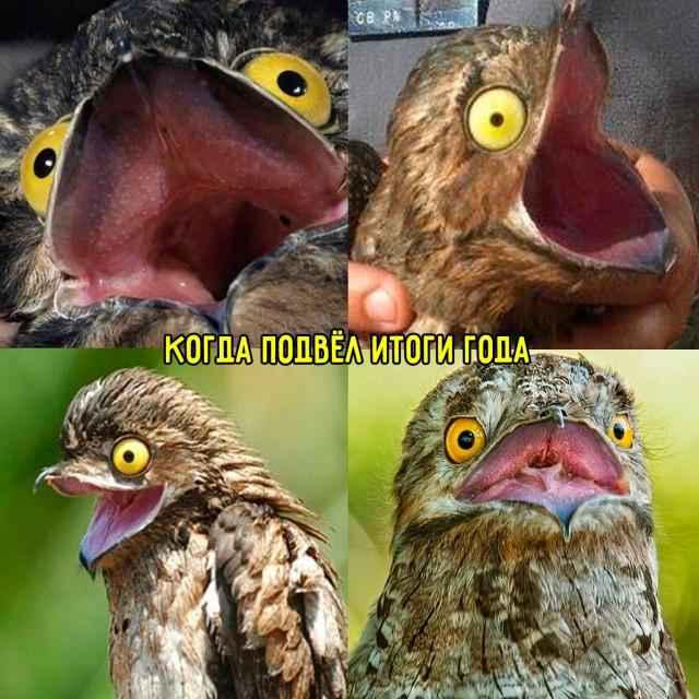 Для отличного настроения (30 фото)