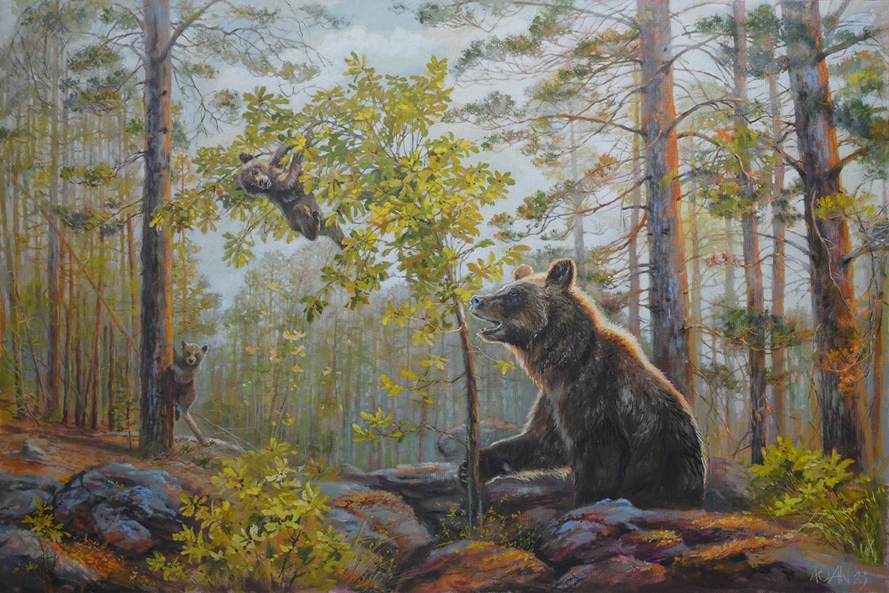 Медвежья семья (11 фото)