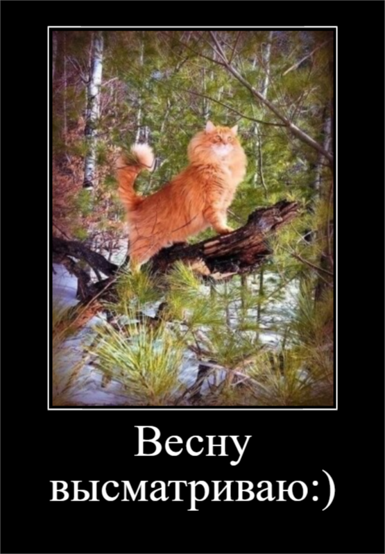 Пятничное настроение (30 фото)