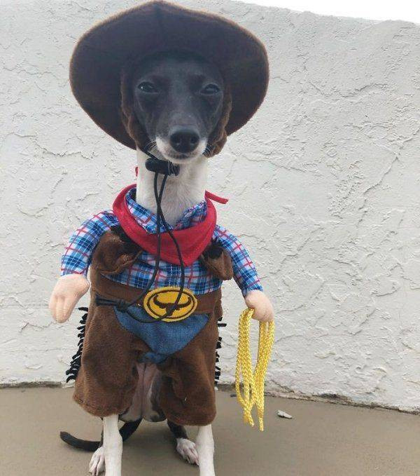 Для хорошего настроения  Всякая всячина