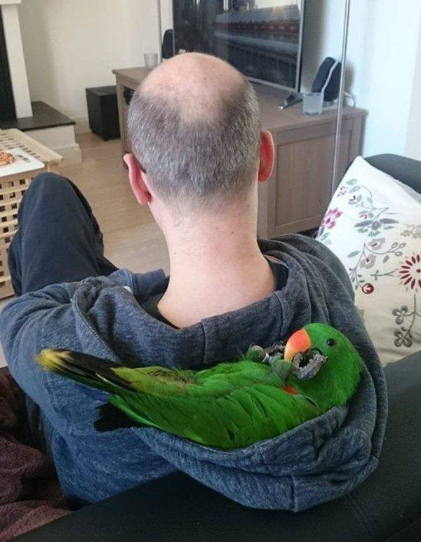 Для хорошего настроения  Всякая всячина