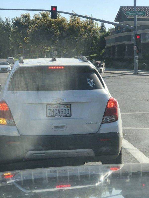 Для хорошего настроения  Всякая всячина